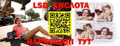 PSILOCYBIN Вышний Волочёк