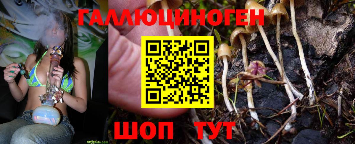 Видное  Галлюциногенные грибы MAGIC MUSHROOMS  Вход с VPN 