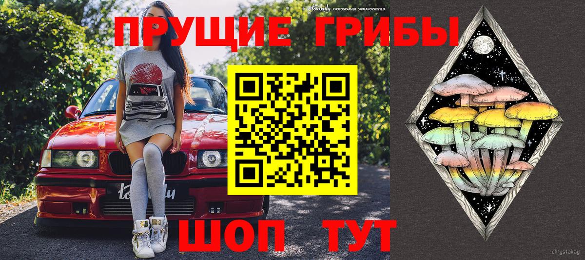 Галлюциногенные грибы ЛСД Видное
